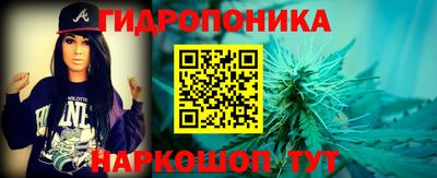твердый Пугачёв