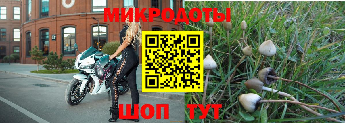 Сегежа  Галлюциногенные грибы MAGIC MUSHROOMS  Вход с VPN 